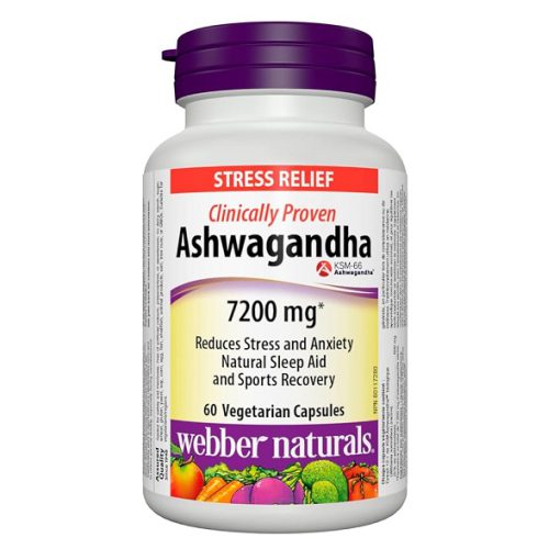 d8a2d8b4d988d8a7daafd8a7d986d8afd8a7 d988d8a8d8b1 d986da86d8b1d8a7d984d8b2 7200 d985db8cd984db8c daafd8b1d985 60 daa9d9bed8b3d988d984 65a85dbc8782d