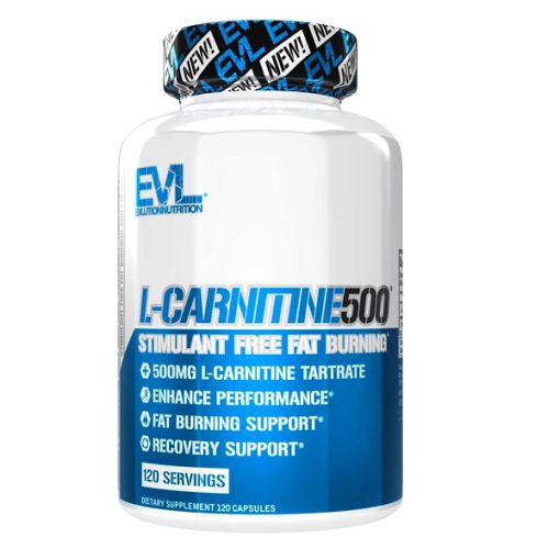 d8a7d984 daa9d8a7d8b1d986db8cd8aadb8cd986 500 d8a7db8c d988db8c d8a7d984 evl l carnitine 500 65a86c2fee445