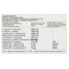 بی سی ای ای پلاس ایرون هورس IRON HORSE SERIES BCAA PLUS 66853c34b6f64.jpeg