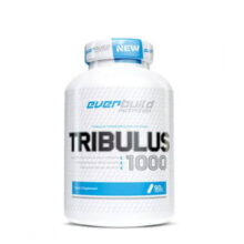 d8aad8b1db8cd8a8d988d984d988d8b3 d8a7d988d8b1d8a8db8cd984d8af 65a85eb8d230e