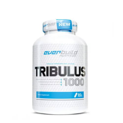 d8aad8b1db8cd8a8d988d984d988d8b3 d8a7d988d8b1d8a8db8cd984d8af 65a85eb8d230e