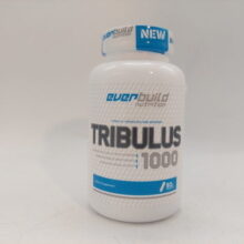 d8aad8b1db8cd8a8d988d984d988d8b3 d8a7d988d8b1d8a8db8cd984d8af 65a85eba7a645