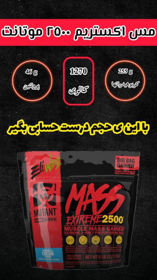 d985d8b3 d8a7daa9d8b3d8aad8b1db8cd985 2500 d985d988d8aad8a7d986d8aa mutant mass extreme 2500 65a85d4a3cd2d