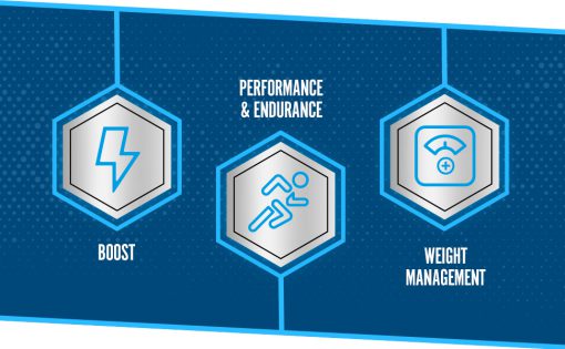 d985daa9d985d984 d8a7d984 daa9d8a7d8b1d986db8cd8aadb8cd986 1500 d8a7d9bed984d8a7db8cd8af d986d988d8aad8b1db8cd8b4d986 applied nutrition l carnitin 65a85a8da68b1