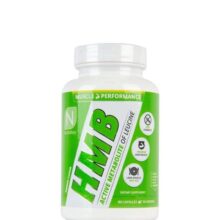 d985daa9d985d984 d8a7da86 d8a7d985 d8a8db8c d986d988d8aad8b1d8a7daa9db8c 65a864a26765b