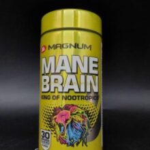 d985daa9d985d984 d985d986 d8a8d8b1db8cd986 d985daafd986d988d985 65a85b2d9eb0b e1706215793968