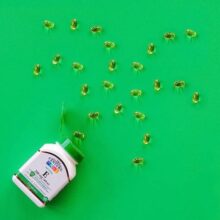 d988db8cd8aad8a7d985db8cd986 d8a7db8c d8b3d986d8aad8b1db8c 21st century e 400 65a85c5269ac7