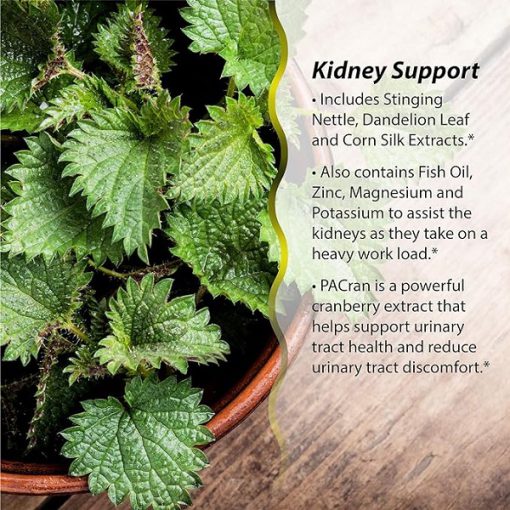 d9bed8a7daa9 daa9d986d986d8afd987 d988 d8b3d985 d8b2d8afd8a7db8c daa9d8a8d8af d8a7d8b1d988db8cd986 d986da86d8b1d8a7d984d8b2 60 d8b9d8af 65fb68e33f124