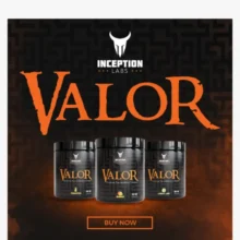 d9bed8b1db8c d988d8b1daa9 d8a7d988d8aa d988d8a7d984d988d8b1 d8a7db8cd986d8b3d9bed8b4d986 d984d8a8d8b2 inception labs valor 65a863f99504e