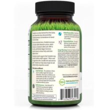 da86d8b1d8a8db8c d8b3d988d8b2 d981d988d8b1d8b3daa9d988d984db8cd986 d8a7d8b1d988db8cd986 d986da86d8b1d8a7d984d8b2 irwin naturals forskolin 65fb7f0502d4e