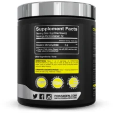 daa9d8b1d8a7d8aadb8cd986 d985d988d986d988d987db8cd8afd8b1d8a7d8aa d981d988d8b1d8b2d8a7da98d986 forzagen creatine monohydrate 65a8626eeb5d7