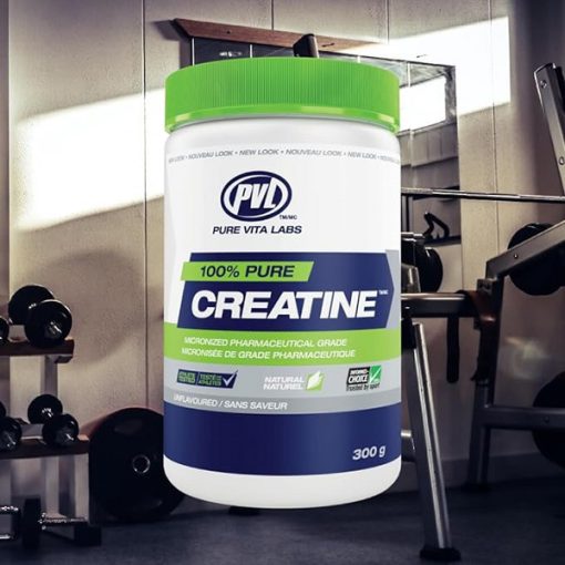 daa9d8b1d8a7d8aadb8cd986 d9bedb8c d988db8c d8a7d984 300 daafd8b1d985db8c pvl creatine 65a85cd9aefd1